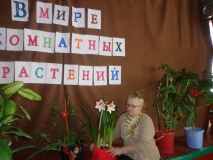 в Третьяковском СДК состоялась познавательная программа «В мире комнатных растений» - фото - 3