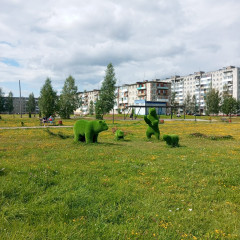 в поселке Озерный этим летом были продолжены работы по благоустройству парка - фото - 3