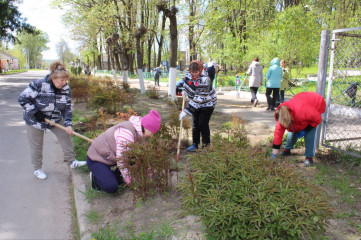 в округе провели очередной субботник - фото - 10