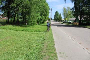 в округе ведутся работы по обкоске общественных территорий - фото - 9