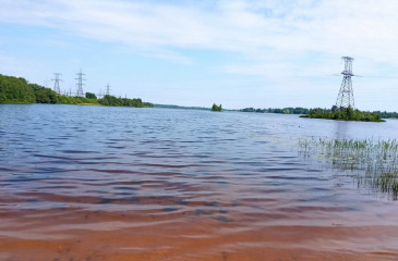 на озере Сошно привели в порядок пляж для купания - фото - 3