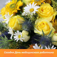 глава округа поздравляет медицинских работников с профессиональным праздником - фото - 1