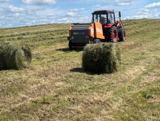 в округе началась заготовка кормов - фото - 1