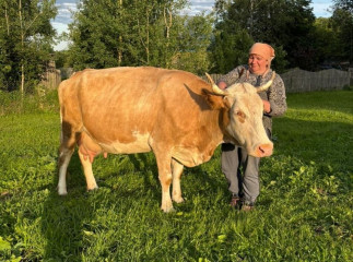 знакомим с участниками областного конкурса "Ветеранское подворье" - фото - 8