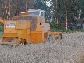 в хозяйствах округа идет уборка урожая - фото - 2