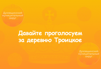 в Смоленской области началось голосование за проведение высокоскоростного интернета - фото - 1