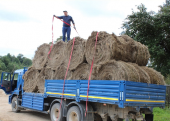 в округе идет уборка льна - фото - 4