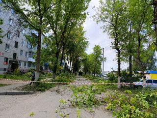 на улице Строителей в поселке Озерный провели обрезку деревьев - фото - 3