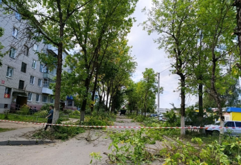 на улице Строителей в поселке Озерный провели обрезку деревьев - фото - 4