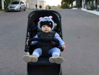 эту замечательную коляску для сына Темы семья Новиковых из Духовщины взяла в пункте проката - фото - 1