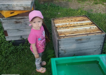 валерия Егорова из деревни Замаличье стала победительницей областного фотоконкурса "Юный фермер" - фото - 2