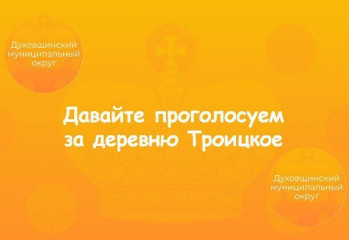 давайте объединимся и поможем провести в деревню Троицкое высокоскоростной интернет - фото - 1