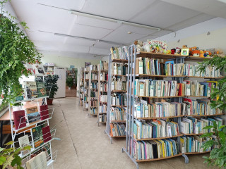 озерненская детская библиотека стала победителем конкурса - фото - 1