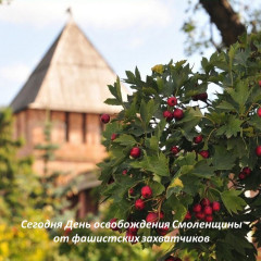 глава округа Виктор Молотков поздравляет жителей с Днем освобождения Смоленщины - фото - 1