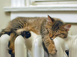 в Духовщинском округе стартовал отопительный сезон - фото - 1