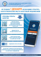 рассказываем о способах уплаты налогов - фото - 1
