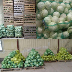 духовщинский округ занимает лидирующие позиции в области по сбору овощей - фото - 1