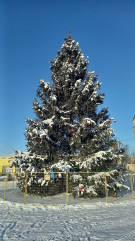 пусть зимние каникулы не будут скучными - фото - 1