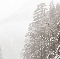 в Смоленской области объявлено штормовое предупреждение - фото - 1