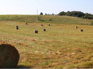 для нас очень важно развитие предпринимательства в нашем округе - фото - 1