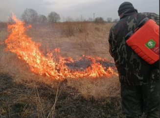 в Духовщинском округе проводят контролируемые палы сухой травы - фото - 2