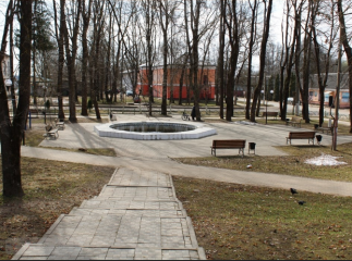 парк в Духовщине стал прозрачнее и светлее - фото - 3