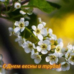 глава Виктор Молотков поздравляет с праздником весны и труда - фото - 1