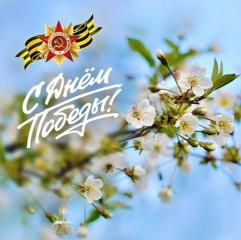 виктор Молотков поздравляет жителей с 9 Мая - фото - 1