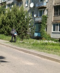 продолжаем обкашивать общественные территории - фото - 8