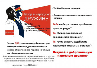 предлагаем вступить в добровольную народную дружину - фото - 2